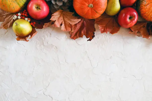Pumpkins, fruits and autumn maple leaves. Autumn still life, copy space.