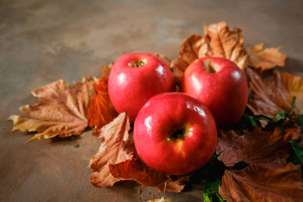 istock Delicious red apples and maple leaves. 1270786696
