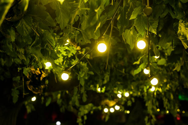 istock garland of light bulbs glowing with warm light suspended from tree branches in backyard garden with festive decor, closeup new year night party details, nobody 1270787892