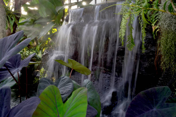 istock Green tree,flower,waterfall in the garden 1270788476