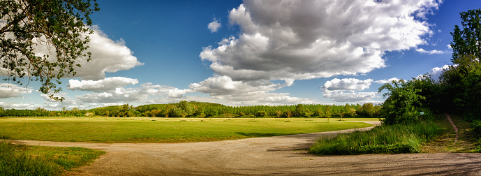 Vibrant landscape with green meadows, trees, blue sky and white clouds in the background with country path