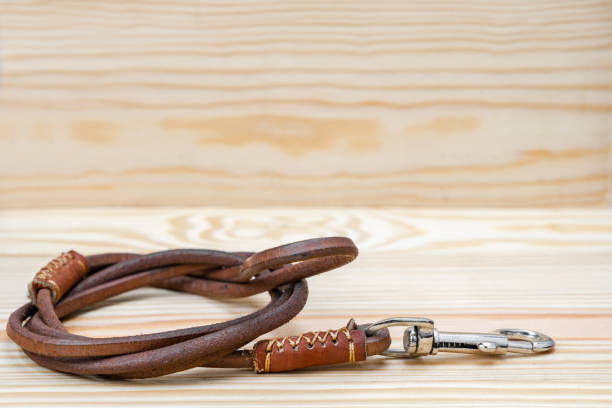istock Pet leather leashes on wooden background 1270797791