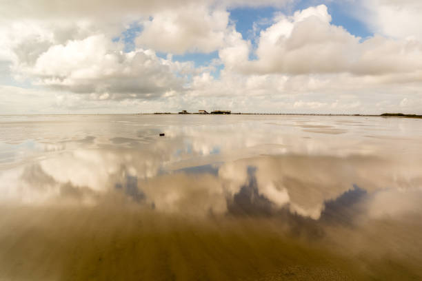 Salt marshes in Île de Ré, France