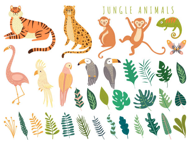 ilustraciones, imágenes clip art, dibujos animados e iconos de stock de animal salvaje de la selva y ave exótica con hojas tropicales exóticas - primate