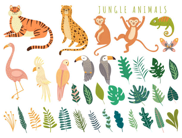 dżungla dzikie zwierzę i egzotyczny ptak z egzotycznymi tropikalnymi liśćmi - animal animal themes tropical rainforest cartoon stock illustrations