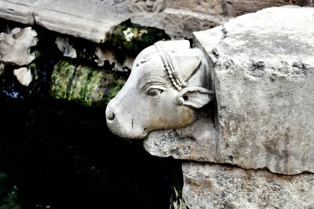 istock Cow head sculpture made by stone made in ancient India 1270802039