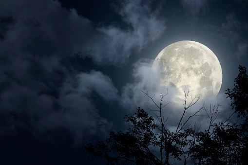 Dramatic Halloween sky with full moon and trees silhouette