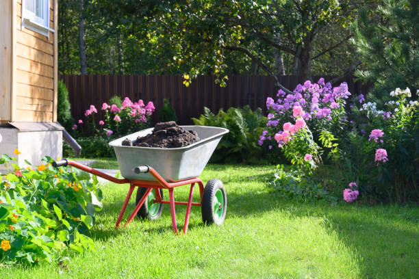 istock Wheelbarrow full of compost on yard 1270803954