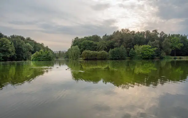 Tsaritsyno park - pond and reflection in the water, swimming ducks - early autumn