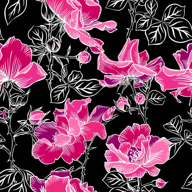 Vector illustration of Seamless pattern with blossom red large roses petals buds and leaves. Artistic summer floral background isolated on black. Beautiful botanical ornament. Line contour drawing, Vintage style.