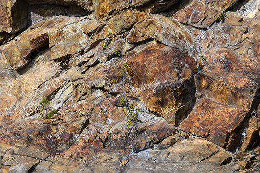 Nature Abstract: Pattern Created by Cracks and Crevices in a Solid Rock Wall