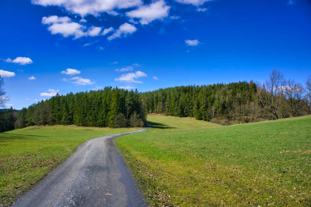 istock The green heart of Germany 1270806945