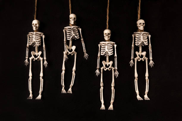 Hanging Skeleton Hanging Skeleton