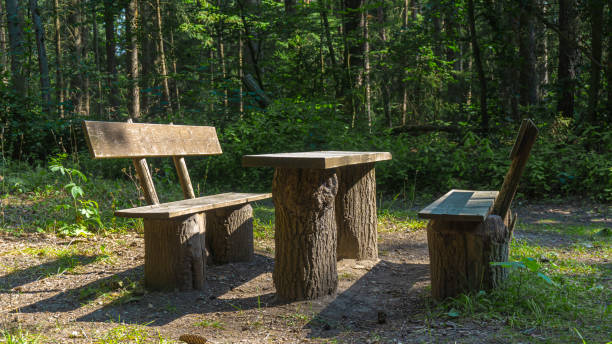 istock Hiking in the forest of Thuringia 1270813768