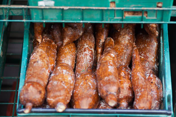 Manioc roots in basket in Brussels