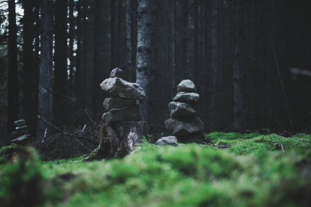 istock Hiking in the forest of Thuringia 1270815448