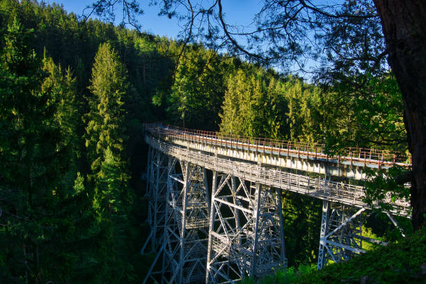 istock Hiking in the forest of Thuringia 1270815452