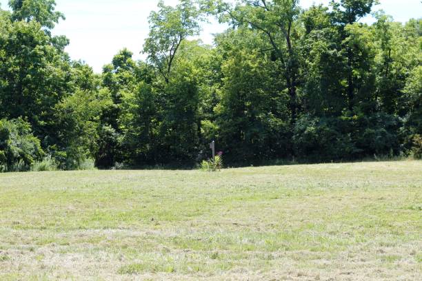 istock Green Country Field 1270816706
