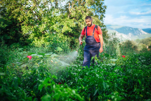 фермер распыляет гербицид на сад - exterminator pest control equipment insecticide manual worker стоковые фото и изображения