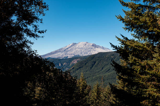 monte saint helens pacific northwest - nature active volcano mt st helens volcano fotografías e imágenes de stock