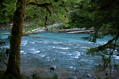 Scenes from a camping trip in the wilderness and forest area in Washington Pacific Northwest. Images were shot in Gifford Pinchot National Forest