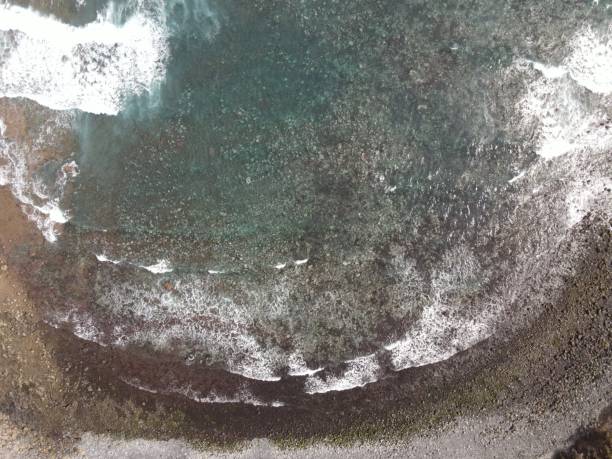 istock Aerial view of a rocky beach 1270823356