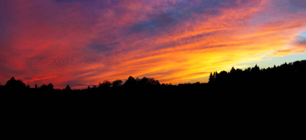 istock Colorful sunset over the forest, dramatic sky, forest silhouette, panoramic view 1270825409