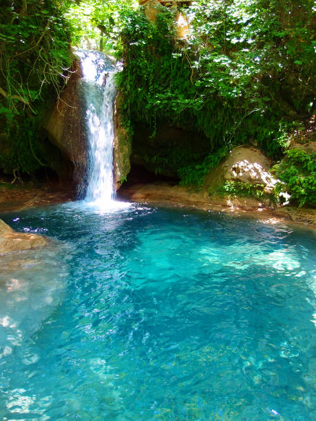 istock Jungle, tropical landscape, waterfall, emerald lake, wild forest 1270830761