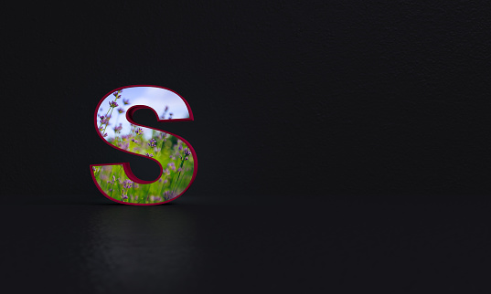 Letter S With Photo Background 3d Rendering Stock Photo - Download Image  Now - Advice, Alphabet, Black Color - iStock