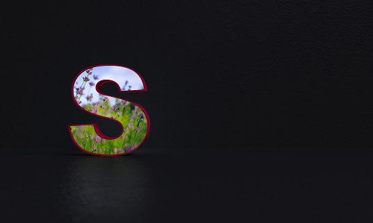 Letter S With Photo Background 3d Rendering Stock Photo - Download Image Now - Advice, Alphabet, Black Color - iStock Letter S With Photo Background 3d Rendering Stock Photo - Download Image Now - Advice, Alphabet, Black Color - iStock