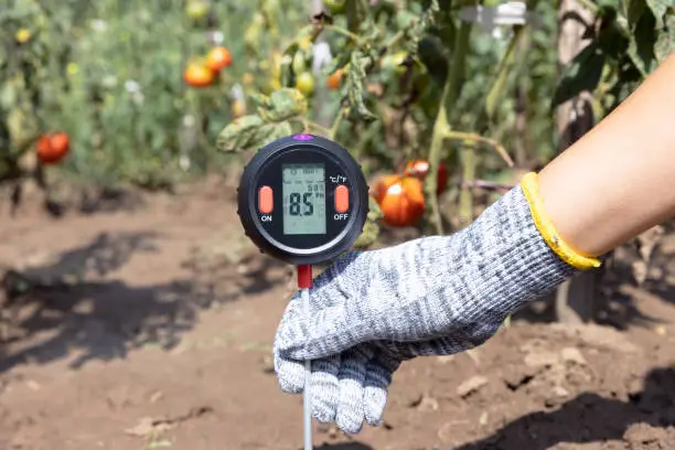 Photo of Measuring soil pH value, environmental illumination and humidity in a vegetable garden