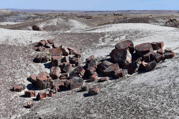 istock Petrified Forest Landscape in Arizona 1270834282