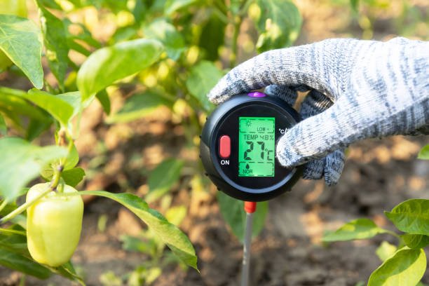 140+ Garden Soil Thermometer Stock Photos, Pictures & Royalty-Free Images - iStock