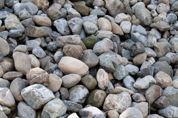 istock a group of large pebbles in a garden 1270838056