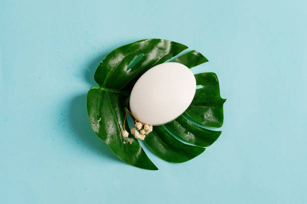 istock White soap bar on green palm leaf with white flowers. 1270841010