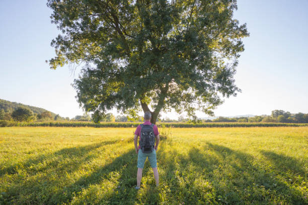 istock Hiking in sunset, shadow of large tree 1270845306
