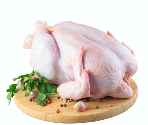 istock raw chicken carcass on the cutting board isolated on white background. 1270845331