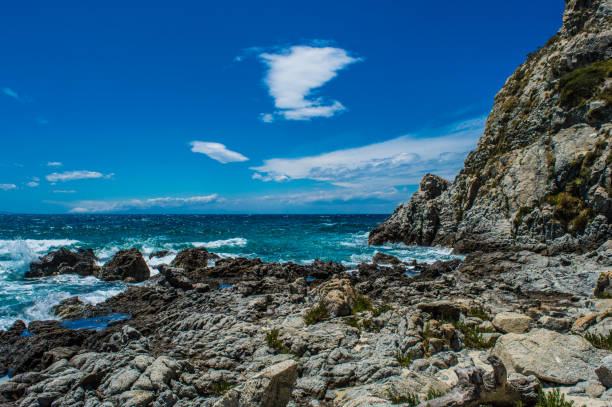 Landscape and nature photography