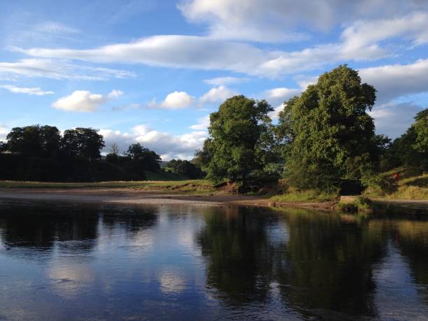 River Wharfe, embankment, skyline against water, High Summer, view from Bolton Abbey, Yorkshire Dales North Yorkshire, Bolton Priory, Bolton Abbey, Skipton, England, United Kingdom Reflections of blue summer sky and bright cloud in still water of the River Wharfe, view from Bolton Abbet embankment river wharfe stock pictures, royalty-free photos & images