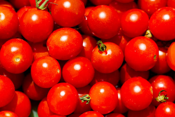 Cherry tomatoes background stock photo