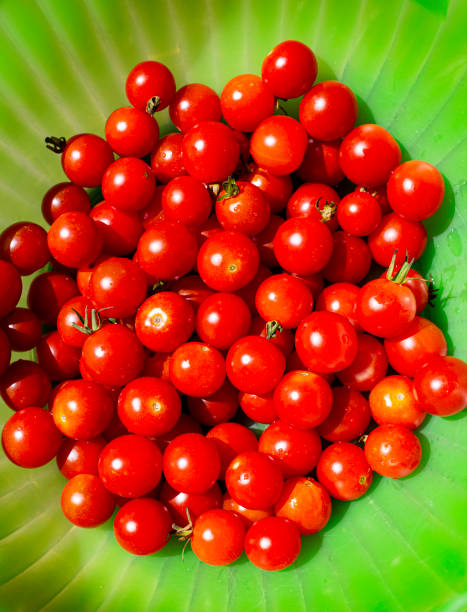 Cherry tomatoes in a green bowl stock photo