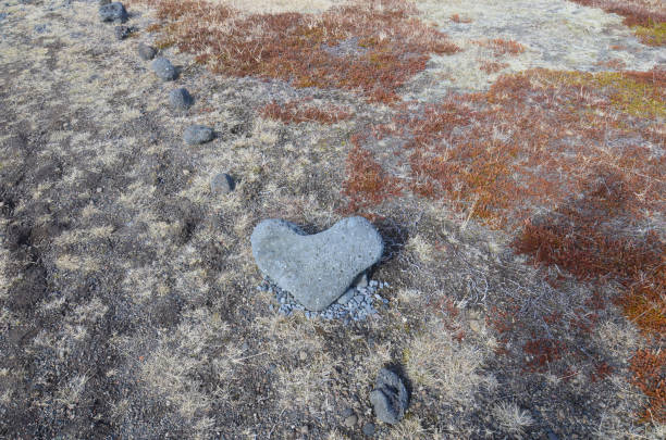 istock Heart Shaped Stone in a Remote Part of Iceland 1270858460