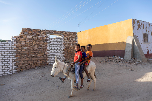 Three boys riding their donkey through the Village of Nagaa Qarmilah, north of Aswan, Egypt.