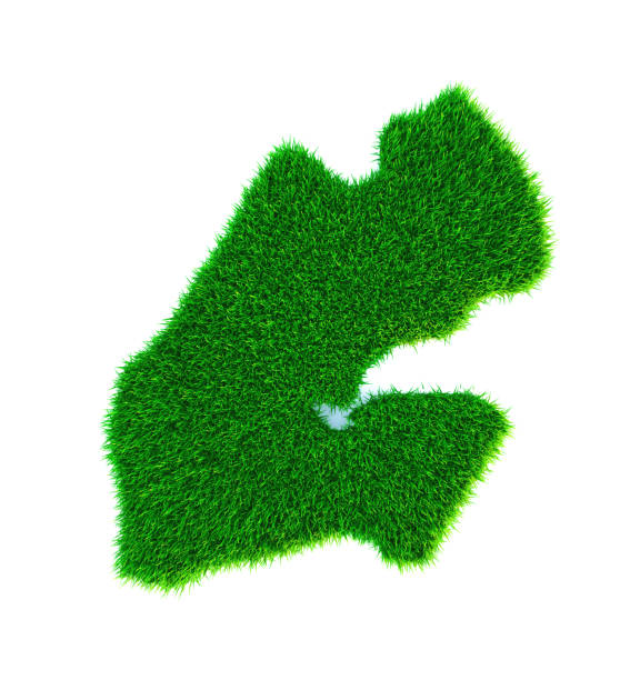 istock Grass map of Djibouti, isolated on white 1270868665