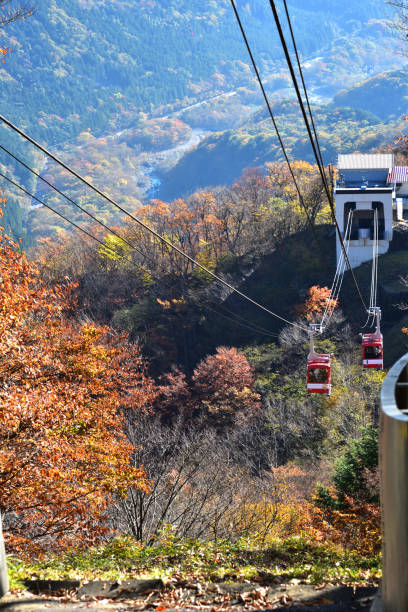 istock Red leaves, Nikko, Tochigi, Japan 1270868879