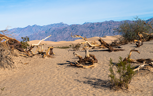 Sand Dunes at Mesquite Flats in winter. Death Valley, California, USA.