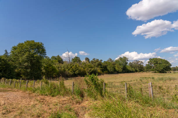 istock View of Typical Ranch Fence Bordering Farm property 1270870642