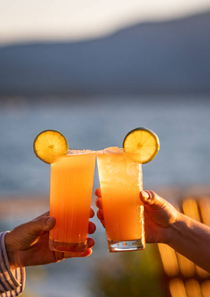 Cheers at Sunset A celebratory toast lakeside at sunset with two orange cocktails on the rocks (could be Mai Tai's, Tequila Sunrises, Screwdrivers, or any number of drinks) garnished with lime wheels. golden hour drink stock pictures, royalty-free photos & images