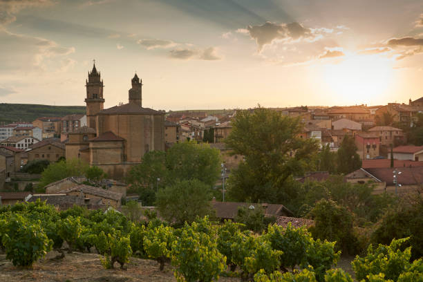 istock View away from Elciego village 1270885970