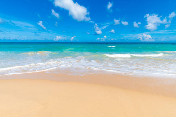istock Beautiful clear sea beach white sand against blue sky with cloud summer 1270902663
